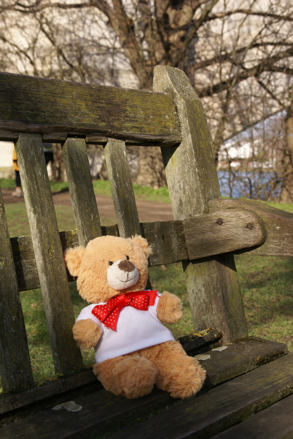 Where’s Basil? Relaxing on a bench near Chiswick Bridge – Brown Bear’s Big Day Out