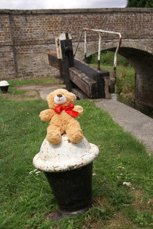 Where’s Basil? Taking a break while walking the Grand Union Canal – Brown Bear’s Big Day Out