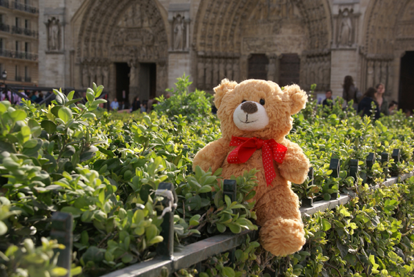 Where’s Basil? Basil visits Notre Dame – Brown Bear’s Big Day Out