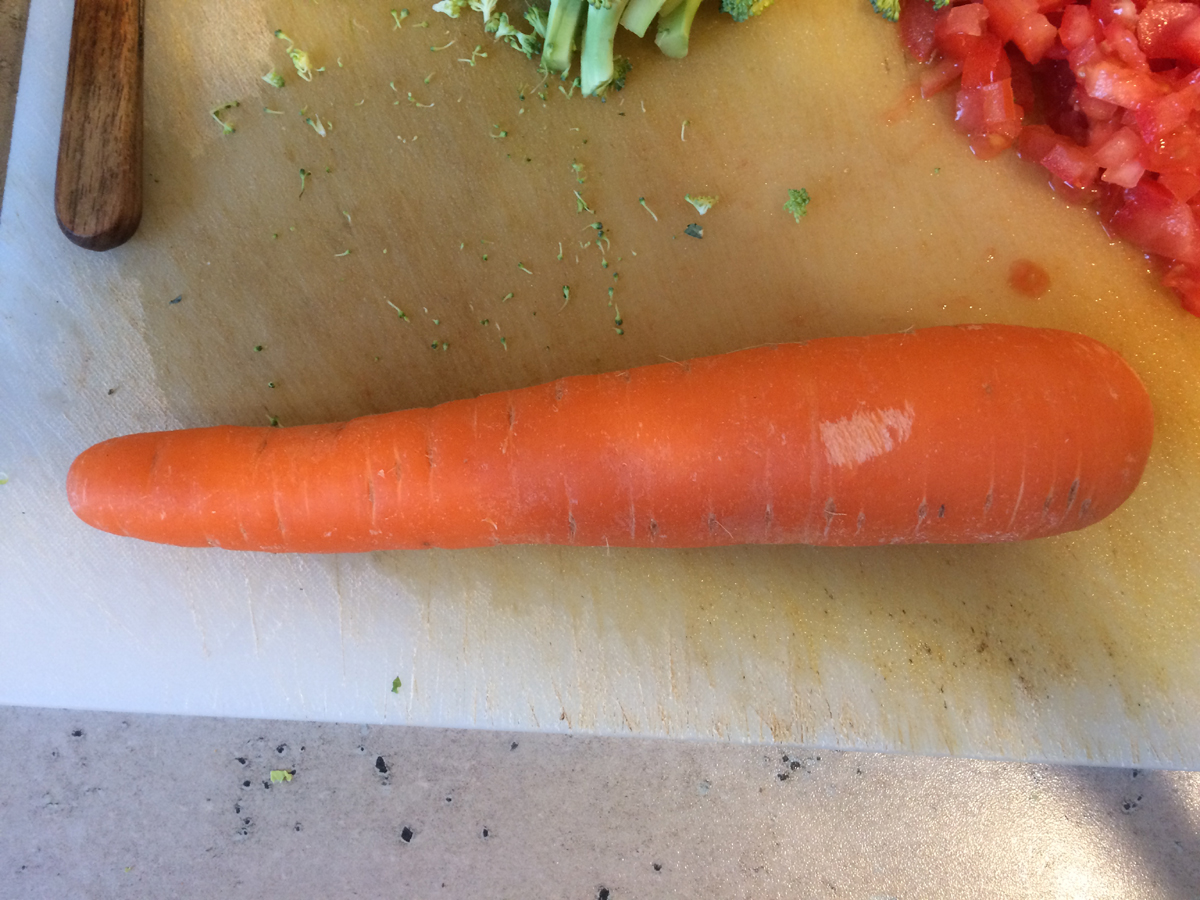 The Monster Carrot Picking Machine – a childrens’ story but for adults
