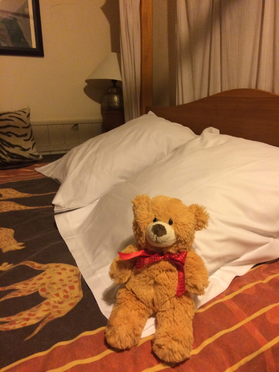 Where’s Basil? – relaxing in the Hôtel de Nesle, Paris – Brown Bear’s Big Day Out