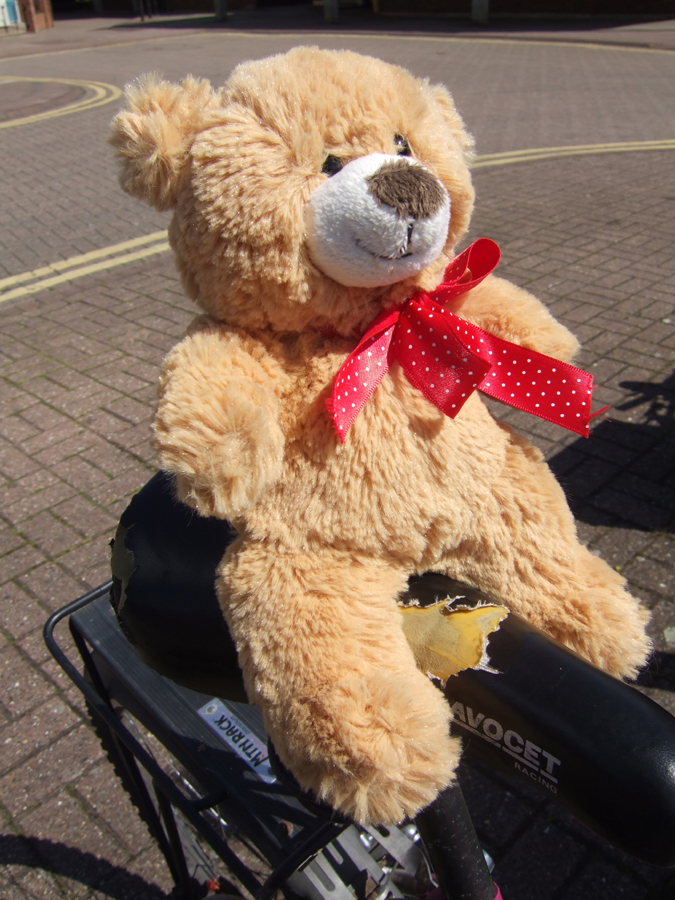 Where’s Basil? – He’s just cycled to Stony Stratford – Brown Bear’s Big Day Out