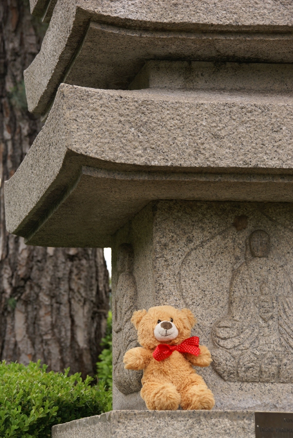 Where’s Basil? – Basil is on an obelisk in the Japanese Garden, Buenos Aires – Brown Bear’s Big Day Out