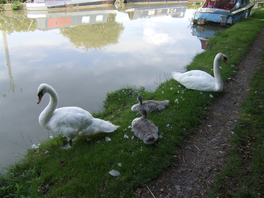 Family, Grand Union Canal, England