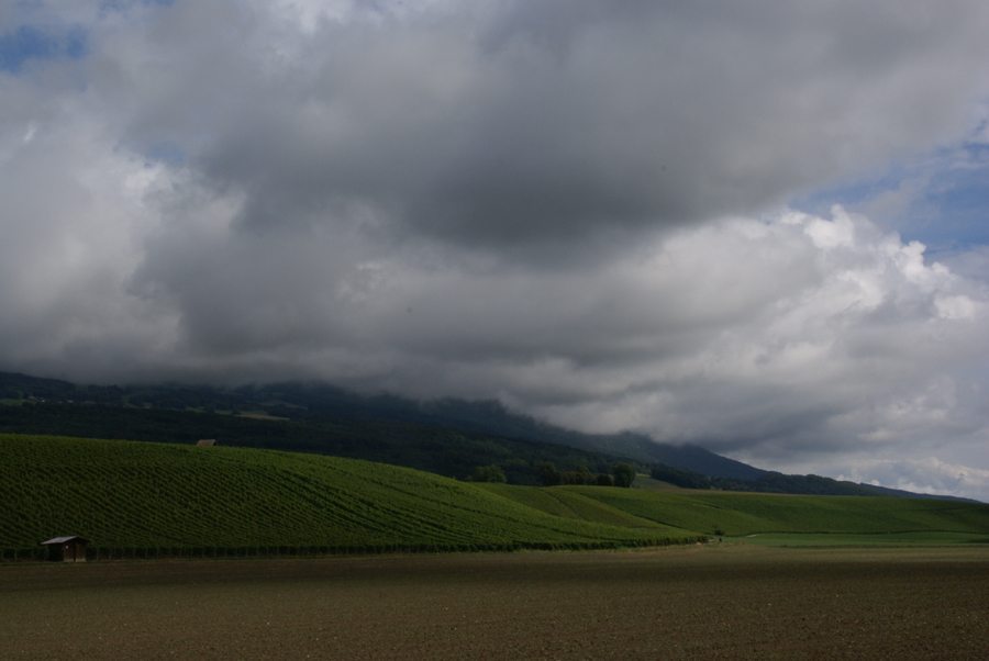 Agriculture on the plain, Yverdon-les-Bains, Switzerland