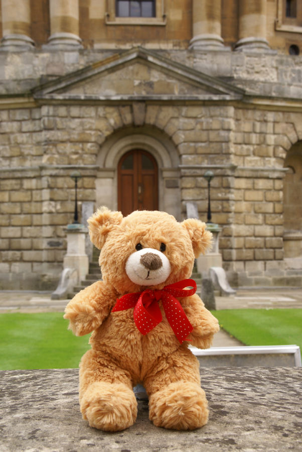 Where’s Basil? – Radcliffe Camera, Oxford – Brown Bear’s Big Day Out