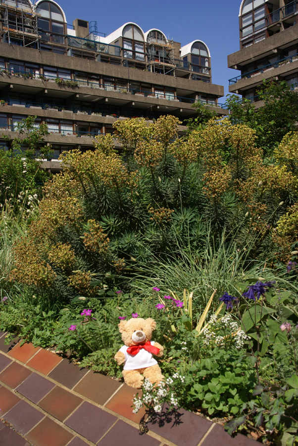 Basil visits the gardens in the Barbican, London. It's a nice garden and a good place for a bear to relax