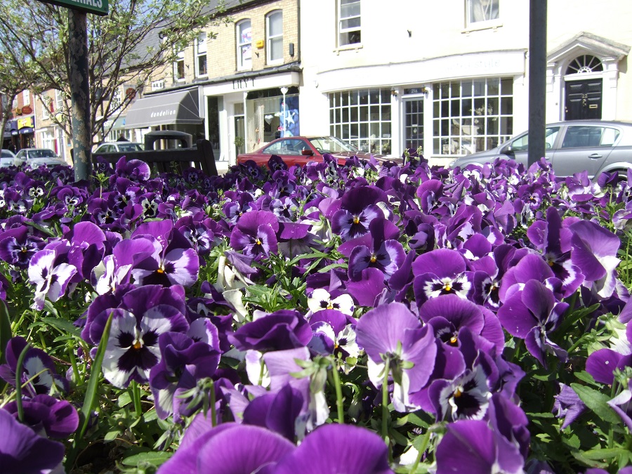 Flowers in the centre of Olney, Buckinghamshire