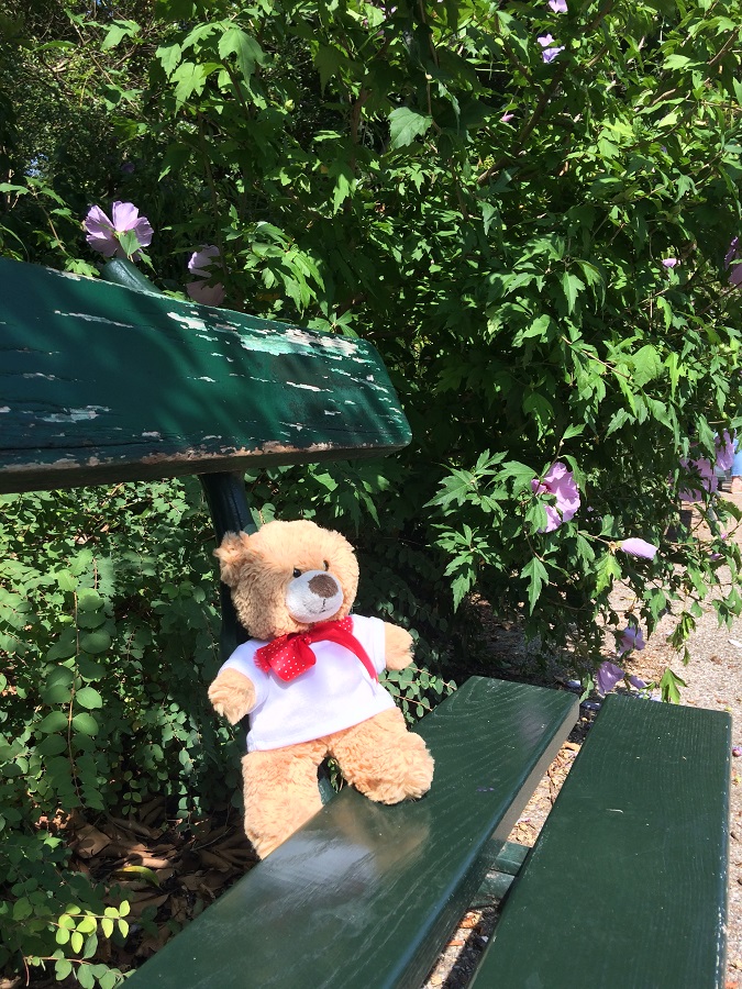 Where’s Basil? Parc des Buttes Chaumont – Brown Bear’s Big Day Out