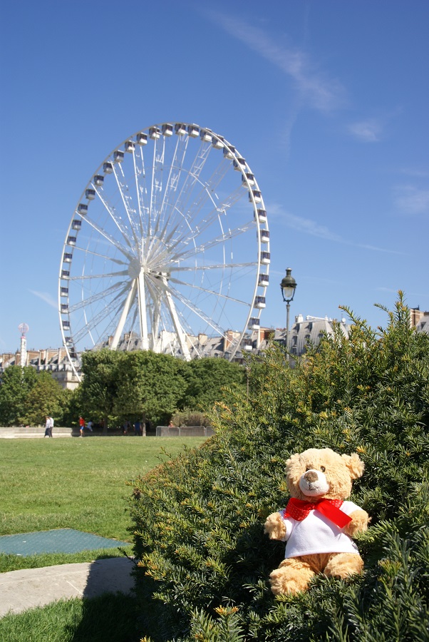 Another photo of Basil in the Jardin du Carrousel, Paris, France